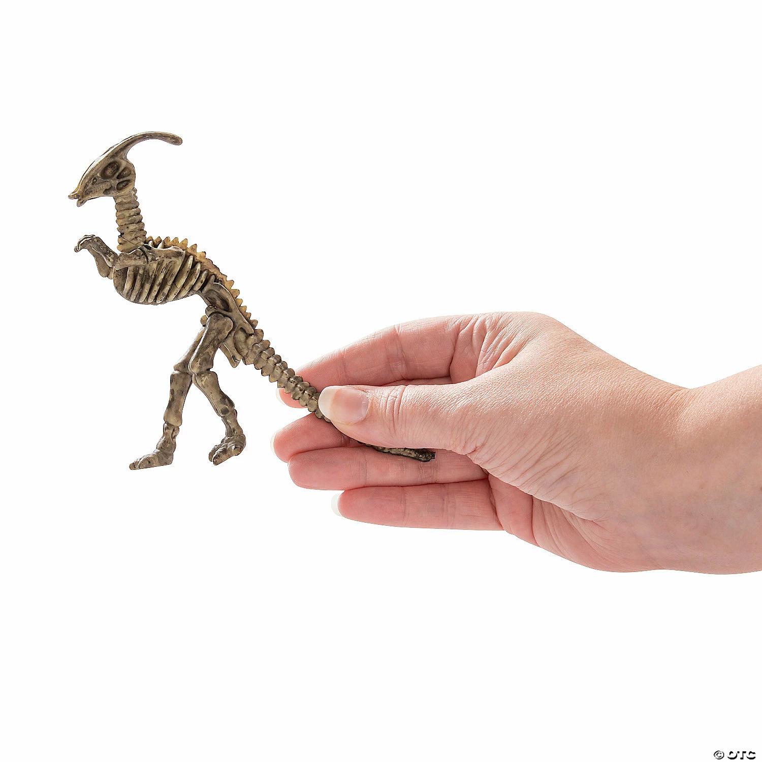 Buy 🧨 Dino-Mite Dinosaur Skeletons - 12 Pc. 🎉 4 Buy 🧨 Dino-Mite Dinosaur Skeletons - 12 Pc. 🎉 - Image 2
