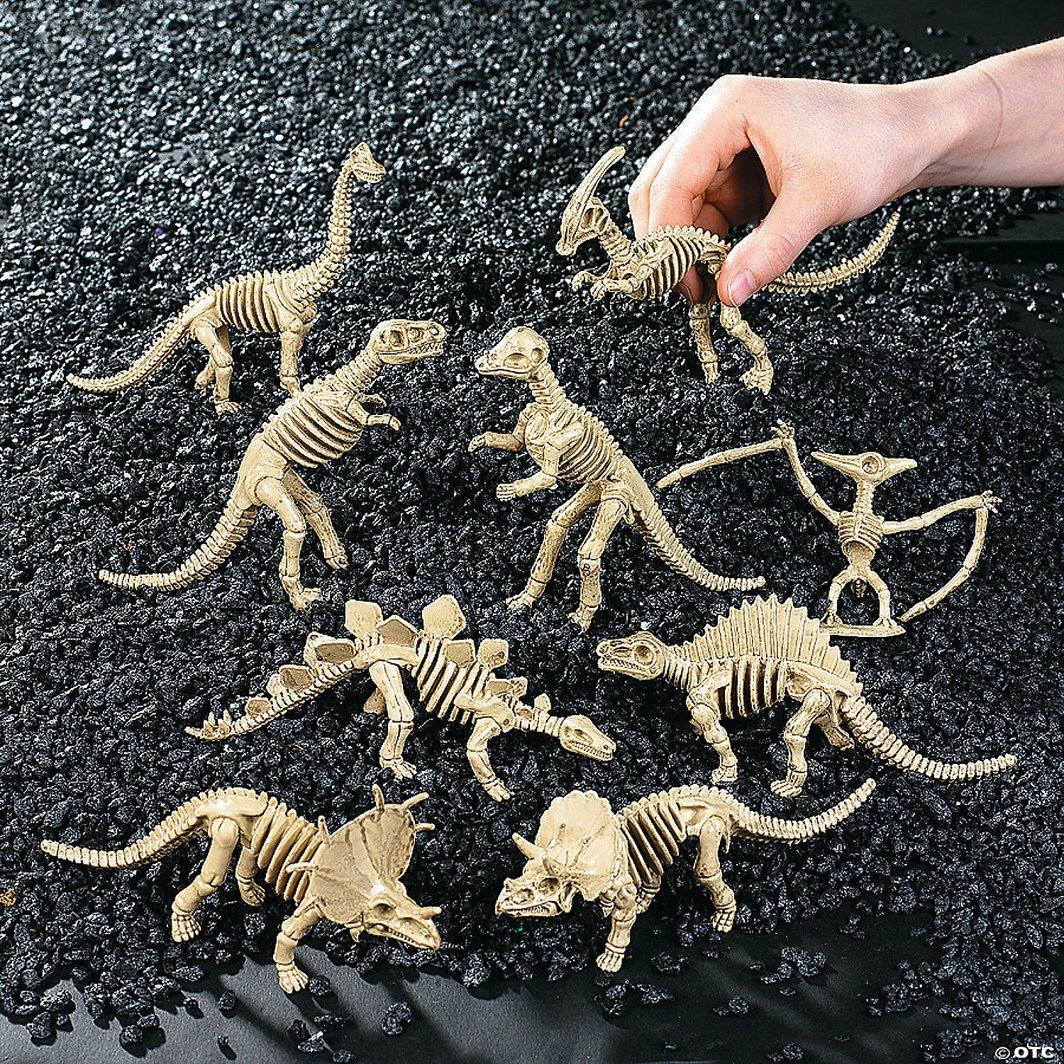 Buy 🧨 Dino-Mite Dinosaur Skeletons - 12 Pc. 🎉 5 Buy 🧨 Dino-Mite Dinosaur Skeletons - 12 Pc. 🎉 - Image 3
