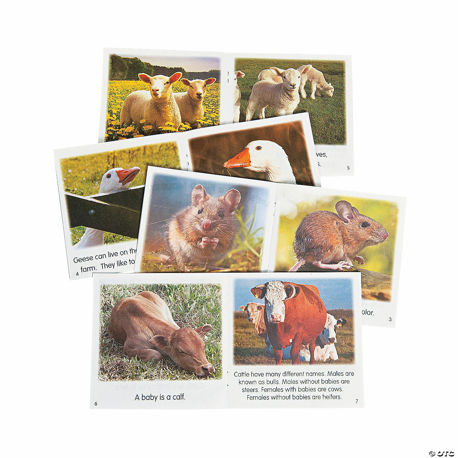 Top 10 π― Farm Animal Readers - 20 Pc. π― 4 Top 10 π― Farm Animal Readers - 20 Pc. π― - Image 2
