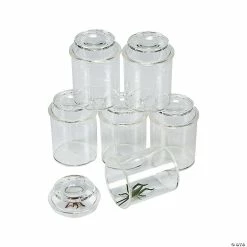 Discount 😉 See-Through Bug Jars - 10 Pc. 🧨